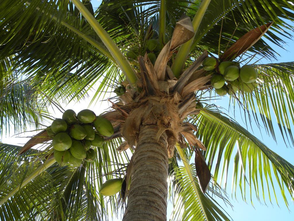 Rock Reef Resort Cayo Largo Exterior foto