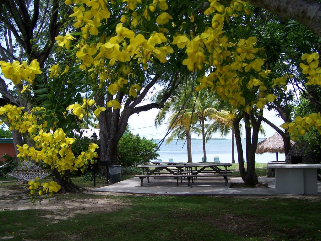 Rock Reef Resort Cayo Largo Exterior foto
