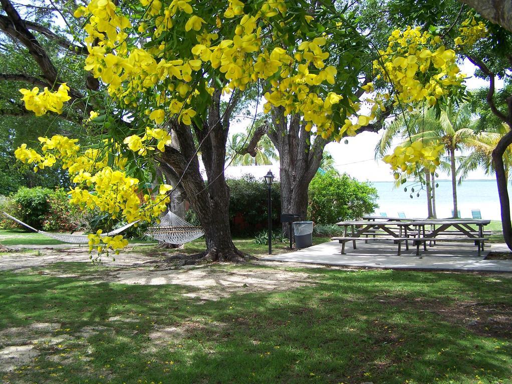 Rock Reef Resort Cayo Largo Exterior foto